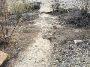 no water in nance creek