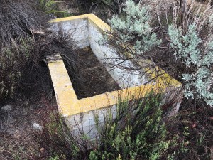 old cattle trough 1.2 miles down Alkali Wash