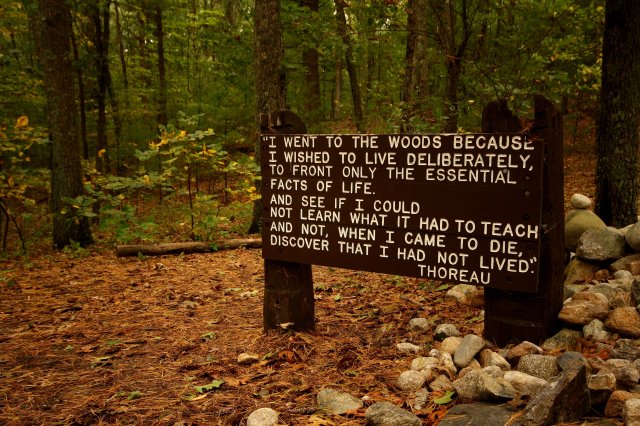 thoreaus_quote_near_his_cabin_site_walden_pond